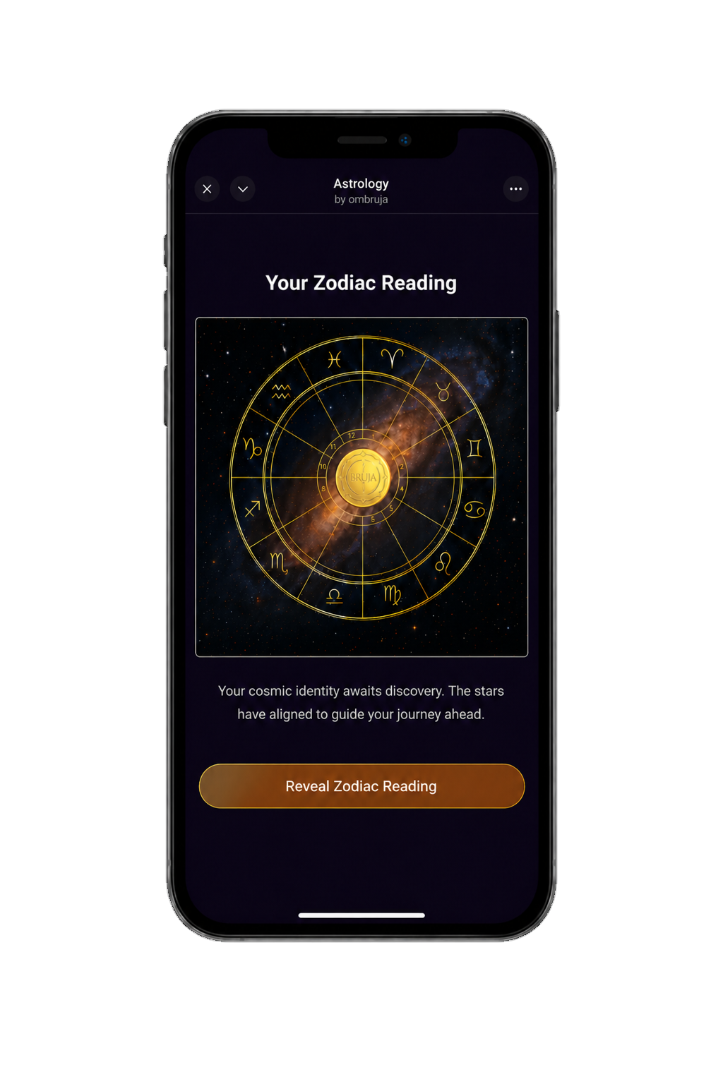 Your Zodiac Reading — OMBRUJA